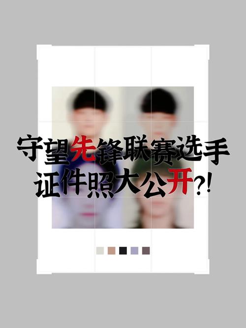 _开云体育：守望先锋最新职业联赛，谁是最亮眼选手？_，守望先锋联赛选手排名